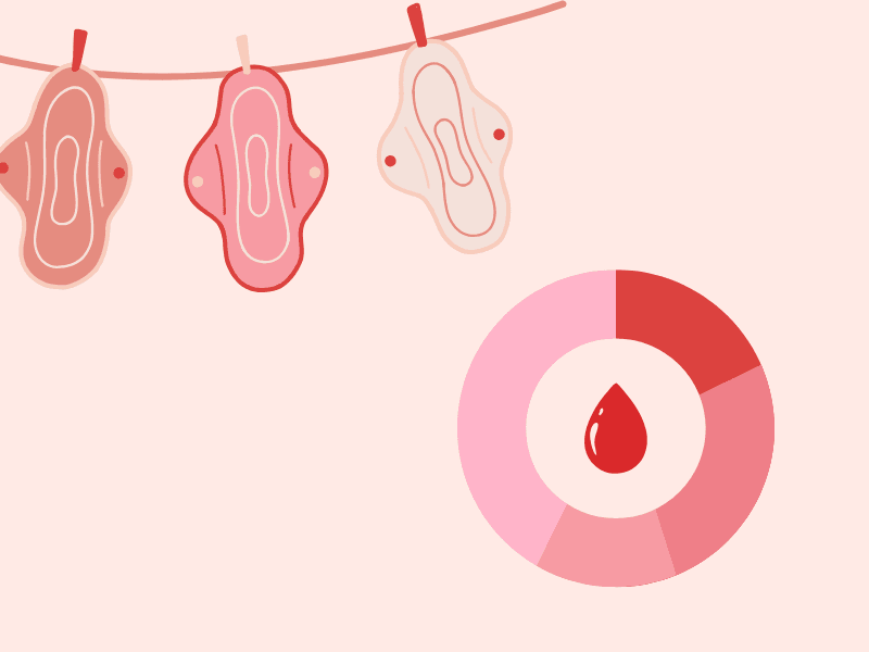 fases_del_ciclo_menstrual Diagrama del ciclo menstrual e ilustración de absorbentes reutilizables para la maenstruación